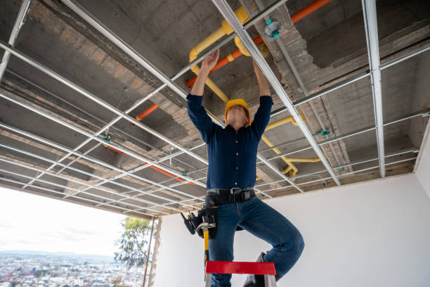Best Residential Plumbing Services  in St James, MO