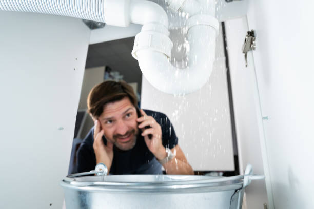 Best Local Plumber Services  in St James, MO