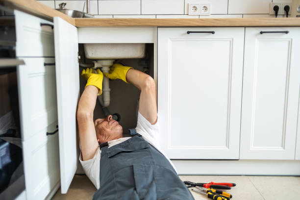 Best Shower Repair Services  in St James, MO